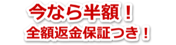 VCOマイルドソープ トライアルが半額 初回限定送料無料 VCOマイルドソープ トライアルが半額 初回限定送料無料